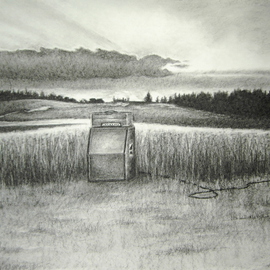 Bonie Bolen: 'Amp In Field', 2005 Other Drawing, nature. Artist Description:  Jimi Hendrix amp in a field. ...