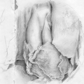 Bonie Bolen: 'Human Heart  study', 2001 Pencil Drawing, nature. 