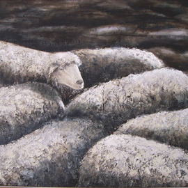 Bonie Bolen: 'Sheep', 2001 Oil Painting, Animals. Artist Description:  Oil on canvas. Painted very thickly. ...