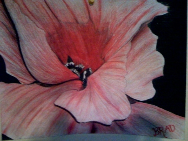 Artist Brad Brigance. 'Natalies Bloom' Artwork Image, Created in 2006, Original Pastel Oil. #art #artist