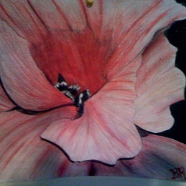 Brad Brigance: 'Natalies Bloom', 2006 Pencil Drawing, Botanical. 
