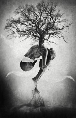 Erik Brede: 'Tree of Life', 2013 Black and White Photograph, Conceptual. 80x100cm  90x110cm Unframed Pop Art in a limited edition of 10 + 1AP...