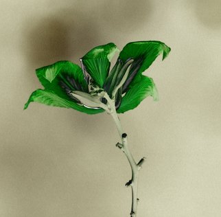 Artist: Bruce Panock - Title: LA Flower Reversed - Medium: Color Photograph - Year: 2009