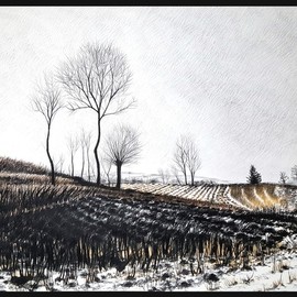 Calin Baban: 'winter snow', 2020 Graphite Drawing, Landscape. Artist Description: NATURE BEAUTY...