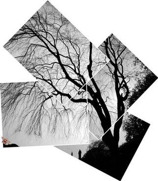 Artist Bruce Lewis. 'TreeShadow' Artwork Image, Created in 2000, Original Photography Other. #art #artist
