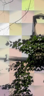 Camille Brack: 'sword sworn to the trees', 2023 Mixed Media Photography, Trees. Tree with Star Doorways, branching and dancing branches, seeing eye in the tree, and sword going through it. ...