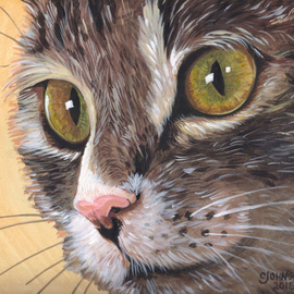 Indie Cat By Cheryl Johnson