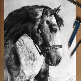 Chelsea Noyon: 'dappled silence', 2020 Graphite Drawing, Animals. Artist Description: Detailed and realistic graphite pencil drawing on smooth bristol board. ...