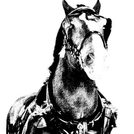 Christy Park Artwork Horse, 2014 Mixed Media Photography, Animals