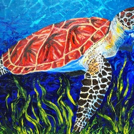 Cindy Pinnock: 'sea turtle', 2017 Oil Painting, Sea Life. Artist Description: Sea turtle, ocean like, sea life, wildlife, ocean animal, underwater, aquarium, original, painting, coral reef, ...