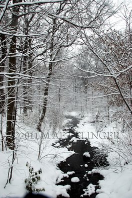 Martin A Ettlinger: 'Prospect Park Brook', 2011 Color Photograph, nature.   Prospect Park Lace was taken after a heavy snowfall, in this most beautiful park in Brooklyn, New York. Photo is behind glass in a white wood frame. Watermark will not appear in photo. Frame size is 13 x 17 inches.     ...