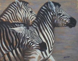 Colleen Balfour: 'Predator Alert', 2001 Oil Painting, Wildlife. Oil on canvas boardunframedWhen galvanised by fear, zebras herd and stampede....