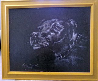 Marina Stewart: 'dog', 2019 Acrylic Painting, Animals. Acrylic paint on canvas  framed. ...