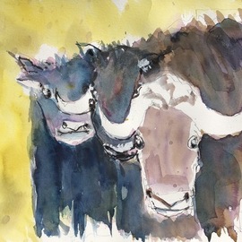 Daniel Clarke: 'year of the ox', 2021 Watercolor, Animals. Artist Description: attaching the dark months days hours minutes seconds of the year of the rat to a string of firecrackers and lighting it rouse the newcomer the year of the ox to raise its hooves and lead us into a bright new year...