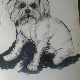 Daniela Vasileva: 'Dog ', 2016 Ink Drawing, Dogs. Artist Description:    Dog  ...