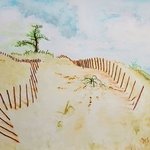 dune fences By Dave Martsolf