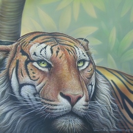 David Easterly: 'tiger', 2017 Mixed Media, Animals. Artist Description: striped lion...