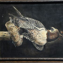 Vincent Von Frese: 'perigrene', 1975 Oil Painting, Animals. Artist Description: Original commissioned portrait of the Perigrene in the sport of Falconry has been returned to me and is up for sale. ...