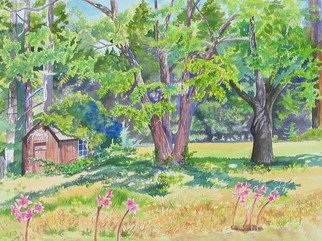 Debra Lennox: 'Smallest Bottle Museum in the World', 2005 Watercolor, Landscape.  This tiny building under the walnut trees on Soda Springs Creek, Comptche holds shelves of a historical bottle collection, gathering dust. ...