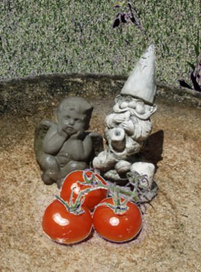 Debra Cortese: 'Garden Angel, Gnome and Tomatoes', 2008 Other Photography, Food.  Garden Angel, Gnome abd Tomatoes is one of a series of 5 playful tomato images. Originally created for the Florida Tomato Growers Tomato Art Competition.This 18 inch x 12 inch open edition nature's energy photopainting is printed with archival inks on fine art paper, signed and shipped from...