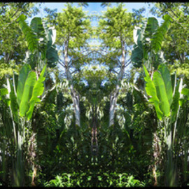 Debra Cortese: 'Travellers Palm Totem Panel e series', 2006 Mixed Media, nature. Artist Description:  Nature' s Energy' e' SeriesTraveller' s Palm Totem Panel is a photopainting of the nature energies - the plants, leaves and trees vibrate in pixels and reflections, some whole, some fragmented, multiple dimensions, overlapping realities.I am entranced by nature: the harmony, the patterns of symmetry, geometry, the ...