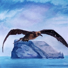 Deepti  Jain: 'among the clouds', 2022 Pastel, Birds. Artist Description: This painting of a fledgling Albatross was done for the World Albatross Day on 19th June, 2022. The painting was used to generate awareness about this beautiful black footed Albatross. It is done in soft pastels and pastel pencils on Fabriano paper. ...
