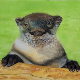 Deepti  Jain: 'lets play', 2022 Pastel, Animals. Artist Description: Baby African otter Mtoti is enticing his trainers to play with him. The innocence in his eyes and his cute expressions made me fell in love with him. This painting was done in collaboration with ABUN and African Otter Network ...
