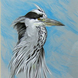 Dennis Mccallum: 'Grey Heron', 2008 Mixed Media, Wildlife. Artist Description:  The fisher of the river 15. 0 ...