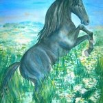 Black Stallion By Deborah Paige Jackson