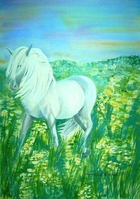 Deborah Paige Jackson: 'White Horse', 1998 Watercolor, Animals.   I love horses, the power and beauty of their body. I was inspired to do this because of that love. This is the twin of the black stallion. It is part 2 of the dyptich. ...