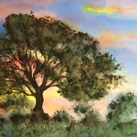 tree at dusk