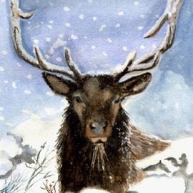 Deborah Paige Jackson: 'winter deer', 1998 Watercolor, Wildlife. Artist Description: Wildlife, deer, winter, snow...