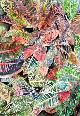Artist: Derek Mccrea - Title: Croton plant tropical art painting - Medium: Watercolor - Year: 2008