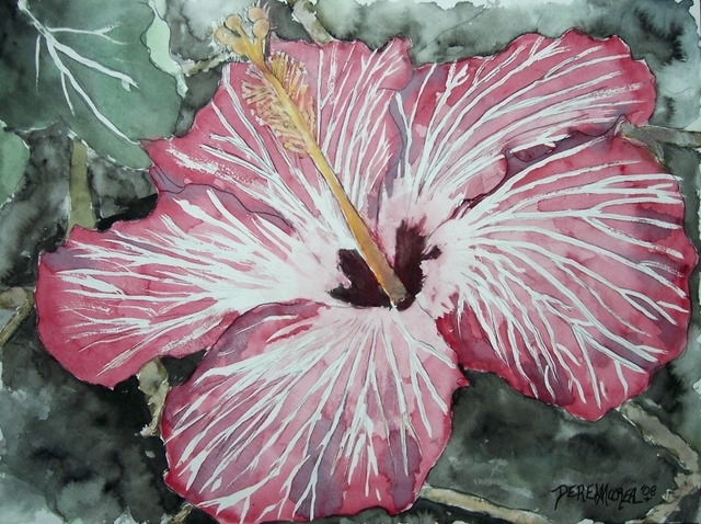 Derek Mccrea  'Hibiscus Flower Watercolor Poster Print', created in 2007, Original Watercolor.