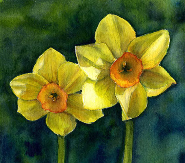 Artist Melody Greenlief. 'Lanies Narcissus' Artwork Image, Created in 2010, Original Watercolor. #art #artist