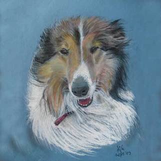 Des Howell: 'Rough Collie', 2008 Pastel, Animals.  Portrait of a well- loved pet drawn from photograph. Original pastel on A2 size paper. ...