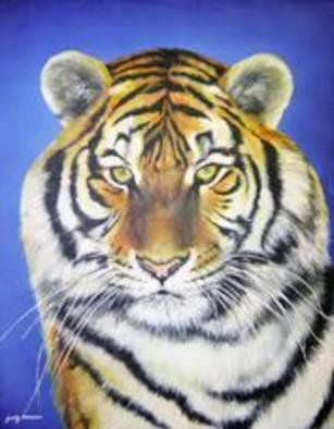 Judy Benson: 'Tiger', 2003 Acrylic Painting, Animals. Original Acrylic Painting on Canvas board...
