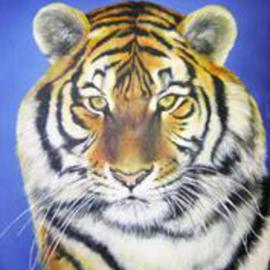 Judy Benson: 'Tiger', 2003 Acrylic Painting, Animals. Artist Description: Original Acrylic Painting on Canvas board...