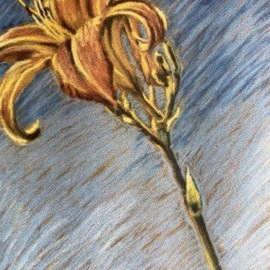 Donna Gallant: 'day lily 1', 1998 Pastel, Floral. Artist Description: The life of a day lily is short but they remind me of a triumph blowing. Perhaps itaEURtms celebrating itaEURtms brilliant life. ...