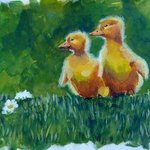 ducklings By Donna Gallant