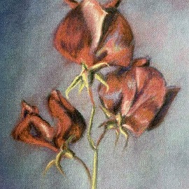 Donna Gallant: 'red redbox sweet pea', 2000 Pastel, Floral. Artist Description: Such a delightful smell as well as petals that look like they would fly away. ...