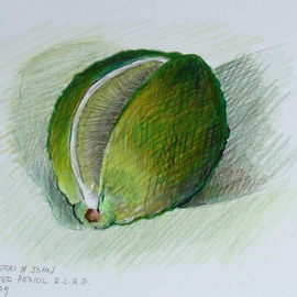 Lou Posner: 'Lime', 2009 Pencil Drawing, Food. Artist Description:  What a great New Year' s Day party! This colored pencil drawing is in a private collection somewhere in the Western Hemisphere. ...