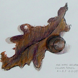 Lou Posner: 'White Oak Leaf and Pignut Hickory Nut', 2009 Pencil Drawing, nature. Artist Description:  Spencer County, Indiana, collection. ...