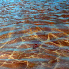 Edna Schonblum: 'transaparencie 28', 2016 Oil Painting, Seascape. Artist Description: sea transparencie boats transparencie sand sea studie ...