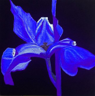 Elizabeth Bogard: 'Tres Flores Iris', 2015 Acrylic Painting, Floral. abstract representative painting, flower painting, Blue painting, purple painting, Iris painting, one flower painting, three panel painting, black painting, floral set painting, panels painting, tearoom painting, interior painting, botanical contemporary painting, modern painting, contemporary painting, modern painting, gallery wrapped painting, acrylic painting ...