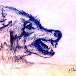 Elisha Sherman: 'Mohegan Wolf', 2004 Pencil Drawing, Mystical. Artist Description:  Dedicated to the surviving Tribe and Peoples of Norwich, CT ...