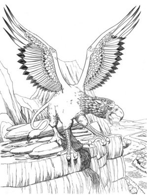Emmett Elvin: 'Gryphon', 2006 Illustration, Mythology.  Original hand drawn and inked artwork from the Barnes Noble book The Ultimate Encyclopedia of Mythical Creatures. ...