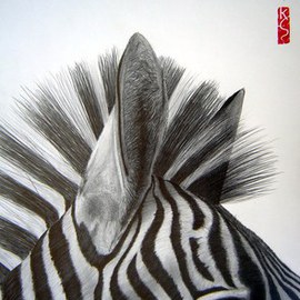 Eric Stavros Artwork Zebra close up, 2009 Pencil Drawing, Animals