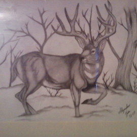 Alejandro Jake: 'Mule Deer ', 2009 Pencil Drawing, Animals. Artist Description:  A drawing I Did of an Mule Deer ...
