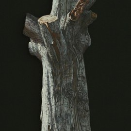 Stephen Fessler: 'Arboreal Memorial', 2010 Oil Painting, Americana. Artist Description:       This painting on canvas is not rectangular, but has been cut to the shape of this old oak tree trunk. The dimensions are those of an imaginary rectangle which would enclose the entire image, and the stretcher is constructed so that the image seems to float two inches ...